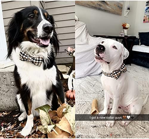 Palhetas de estilo exclusivo colarinho de cachorro, colarinho de cachorro com gravata borboleta, colar de cachorro ajustável presente