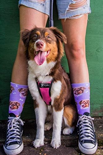 Divvyup Socks - Meias de cachorro personalizadas - Coloque seu cachorro em meias!