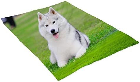 Morrix Clanta personalizada com foto personalizada cobertor de cachorro Pet Pet Gift Blanket Cama personalizada cobertor