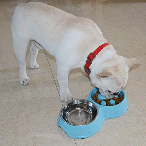 Hifrenchies Dog Tigela de alimentação e bebida lenta, aço inoxidável Tigela de cachorro de alimentação lenta para o bulldog