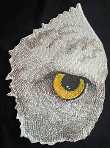 Eye Custom e exclusivo de ferro bordado em águia On/Sew Patch [6,89 4,85] [Feito nos EUA]