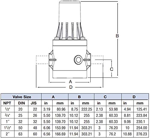 Regulador de pressão PRHM150V-PV PLAST-O-MATIC, 1-1/2 , 5 psi a 125 psi