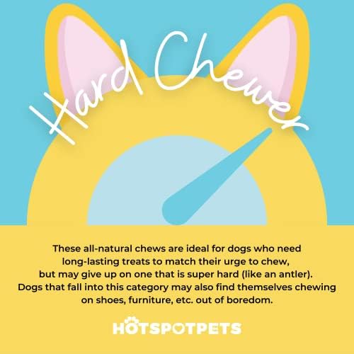 Hotspot Pets premium Antlers de alces premium para cães - mais de 7 polegadas de cachorro grande mastler de cachorro naturalmente