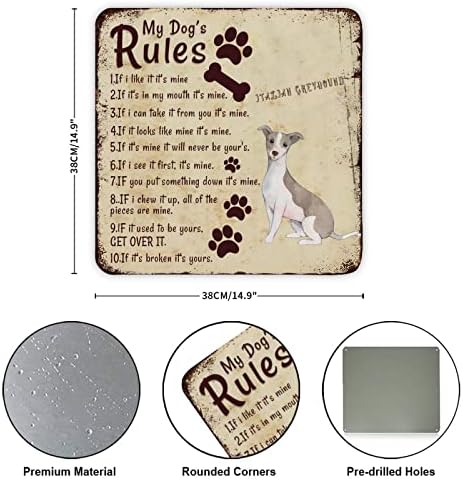 Funny Pet Dog Metal Metal Greyianhound italiano Regras do meu cachorro Vintage Dog Pomer Sign Sign Metal Art Print