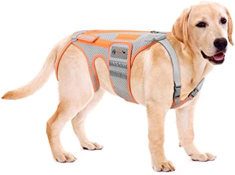 Baoguai Dog Back Brace para artrite, cães quadril para IVDD, arnês de suporte de quadro para costas ， mantém as costas