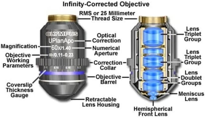 Microscópio metalúrgico de alta qualidade Lente Objetiva do Plano de Infinito para Nikon 10x CFI-60 FL