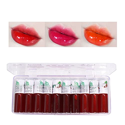 Conjunto de 10 esmaltes de lábios criativo de esmalte labial de frutas para uso diário de veludo batom líquido cosméticos