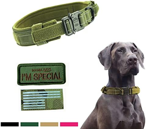 Anti-Rush Militar Military Dog Collar Tactical Wild Dog Collar Nylon Belt com fivela de metal, adequado para cães