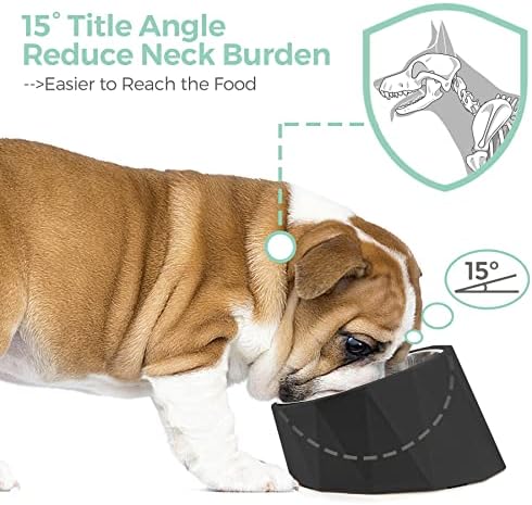 MSBC Tilted Angle Aço inoxidável Tigela de cachorro, alimentador de animais inclinados a 15 ° para cães e gatos, tigela de alimentação