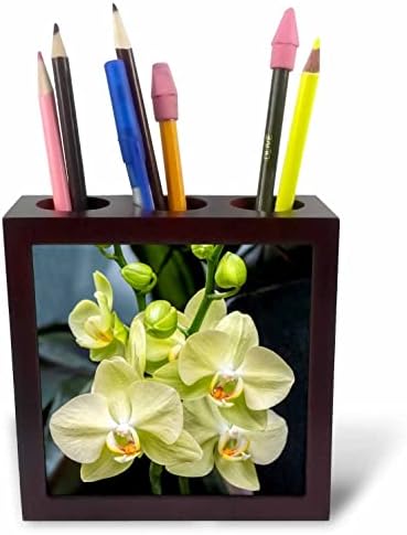 3drose Danita Delimont - Flor - Orquídeas de mariposa branca. - titulares de caneta de ladrilhos