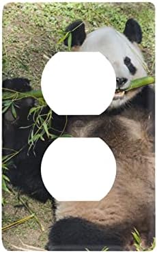 Yyzzh gigante panda urso animal bambu florestas florestas florestas de capa não utilizada placa de chave de capa 2.9 x 4,6