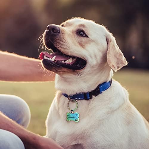 Tags de identificação de cães personalizadas de atdesk, flores de nascimento personalizadas Tags de nomes de animais