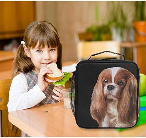 Cavalier King Charles Spaniel Dog Box Tote Tote Reutilable Isolable School Cooler Bag for Women Kids