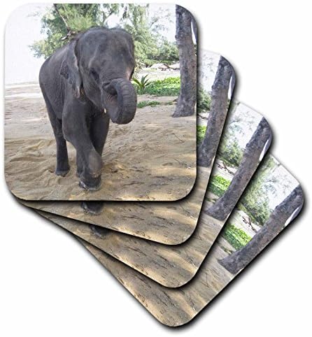 3drose cst_26798_3 Tailândia Elefante-Cerâmico Monta-russa, conjunto de 4