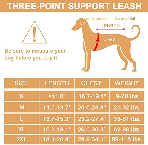 Brace traseira de cães noillow para artrite de cães, chicote de elevação de cães, apoio e tipóia de recuperação, cinta