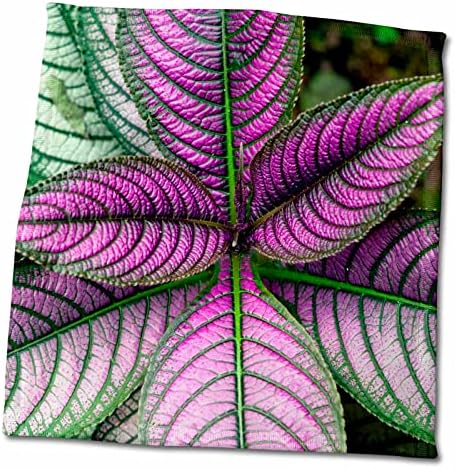 3d rosa escudo persa strobilanthes dyerrianus-costa rica toalha de mão, 15 x 22, multicolor