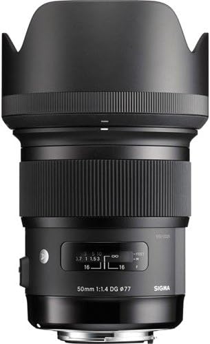 Sigma 50mm f/1.4 DG HSM Art Lens para Sony A Mount + Essential Lens Bundle
