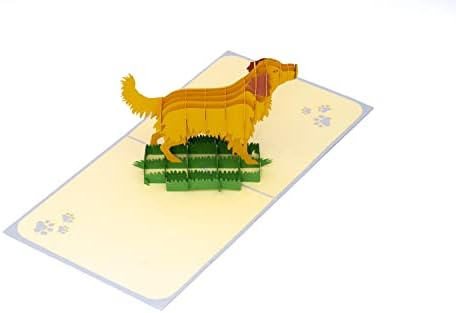 Rykamia Golden Retriever Card, cartão em branco com envelope, cartão de aniversário do cachorro, cartão de aniversário do Golden Retriever,