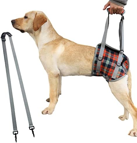 Arnês de suporte para cães para as pernas traseiras - arnês de elevador de cachorro com maçaneta e tipóia, ótima para cães idosos, displasia do quadril, cirurgia de LCA, ajustável ajude -os a levantar ajuda para cães grandes médios grandes