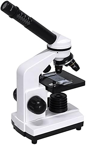 XDCHLK Microscópio Biológico Profissional Composto LED Microscópio Microscópio de Exploração Biológica Adaptador de