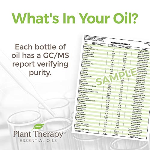Terapia vegetal kidsafe barriga tudo melhor mistura de óleo essencial 30 ml puro, não diluído e grau terapêutico