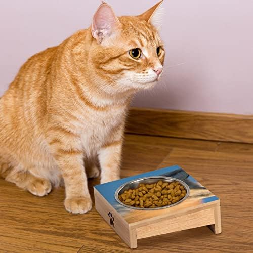 Red Fox Face Dog Cat Bowl Aço inoxidável Anti -vômito alimentador de animais de estimação BONDAS BONLES CONJUNTO 15 ° TILTADO