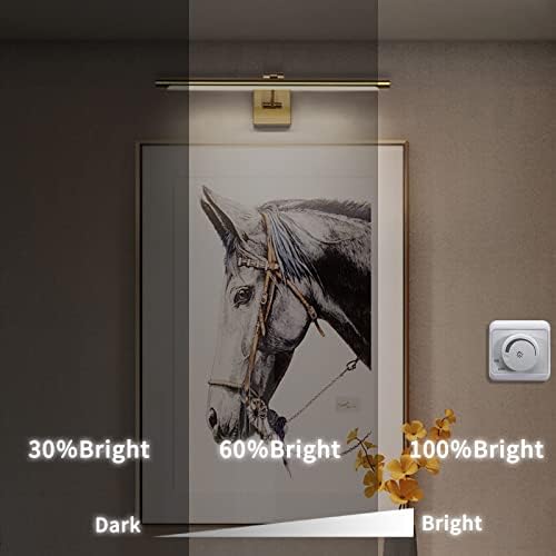 Joosenhouse LED Picture Lighture
