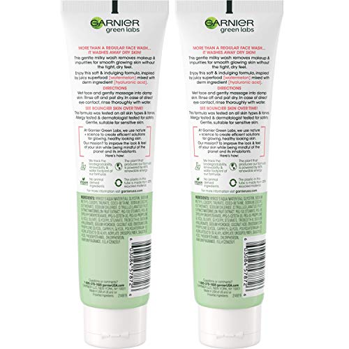 Garnier SkinActive Green Labs Hyalu-Melon suavizando o limpador lavável leitosa com ácido hialurônico + melancia para pele desidratada, linhas finas, 2 contagem