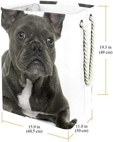 Filhote de filhote de filhote French Bulldog French Bulldog cesto de roupas de roupas prejudiciais à prova d'água para o organizador