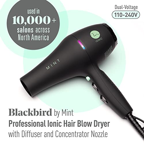 Série profissional Blackbird Infravery Ionic Hair Secer com difusor por hortelã | Secador de sopro extremamente silencioso e leve