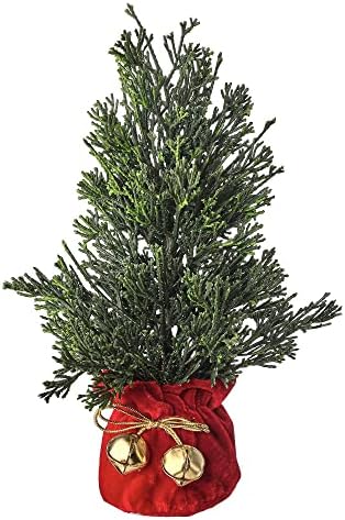 Regency International Cedar Christmas Tree in Velvet Sack com sinos, conjunto de 2, 11 polegadas