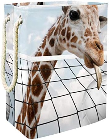Deyya manipulação girafa esportiva lavanderia cestas cestas de altura dobrável para crianças adultas meninos adolescentes meninas