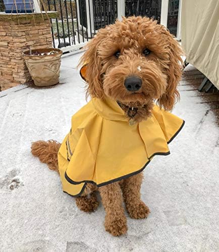 Fashion Pet Days Rainy Days Slicker amarelo capa de chuva, x-small