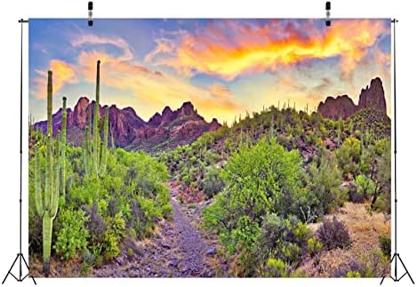 BELECO 15x10ft Fabric Parque Nacional Parque Arizona Desert Caso-pano de fundo semelhante ao céu paisagem Montanha