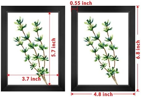 Lavie Home 4x6 quadros de imagem, 4 por 6 moldura com estampas de plantas, moldura de madeira simples projetada com vidro real