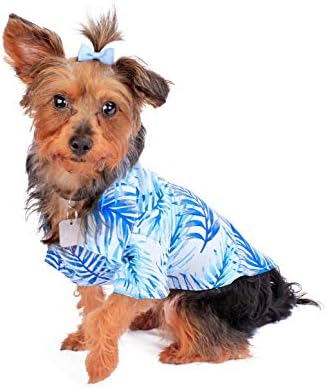 Camisa Aloha de cão de padrão de correspondência havaiana em folhas simplesmente azuis xlarge