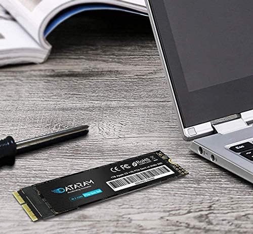 DATARAM 2TB M.2 M-key PCIE NVME SSD para 2013-16 MacBook, Mac Pro, Air, Mini, IMAC