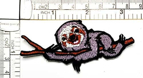 Kleenplus 3pcs. Caça -níqueis costure em ferro em manchas bordadas de desenho animado adesivo de urso artesanato Acessório Costura