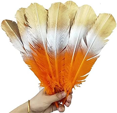 Pumcraft Feather for Craft 100pcs / lot spray color color gaiose penas de ganso 10-12 polegadas / 25-30cm Feathers DIY para
