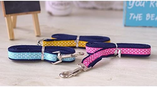 Stock Show Small Pet Summer Spring Spring CARAÇÃO CARRELO DE ARNESS E MACIMENTO DE POLOS COMPRIMENTOS LIDO DE LEASH