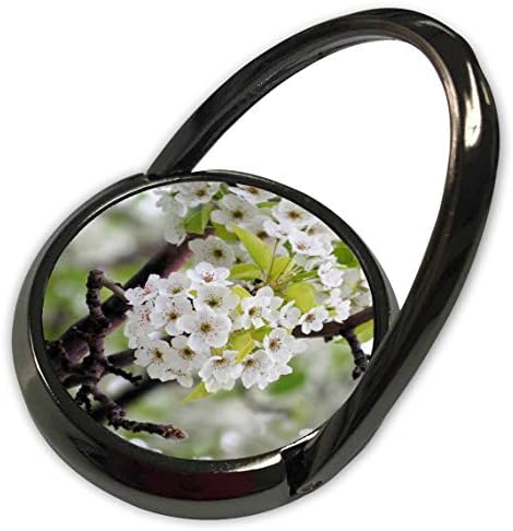 3drose jos fauxtograpagee -árvore - uma árvore florescente com flores brancas em verde - anel de telefone