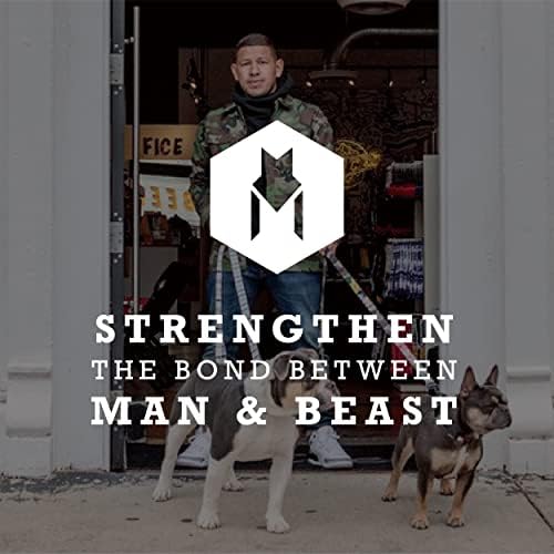 Wolfgang Man & Beast Premium USA Webbing Dog Leash e arnês