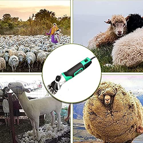 CLIPPER ELÉTRICO ELÉTRICO, SCISSORS SCISSORS PROFISSIONAIS FADER DE Lã 6 velocidades de criação de animais para raspar ovelhas, cabras,