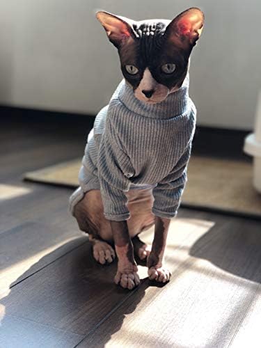 Roupas de gato de esfreador de bônus, suéteres de gatos apenas para gatos, suéteres de gatos de gola sfynx, roupas de