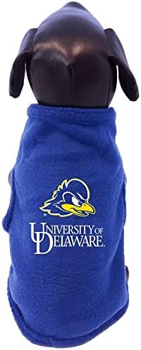 NCAA Delaware lutando