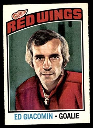 1976 O-Pee-Chee NHL # 160 Ed Giacomin Detroit Red Wings VG Red Wings