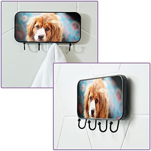 Ganchos adesivos ganchos de parede pesada para pendurar, foto de cachorro, toalhas de banheiro ganchos de cozinha
