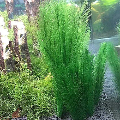 Plantas de decoração de aquário de seda plantas plantas de tanque de peixes plantas de água plástica Planta aquática artificial verde