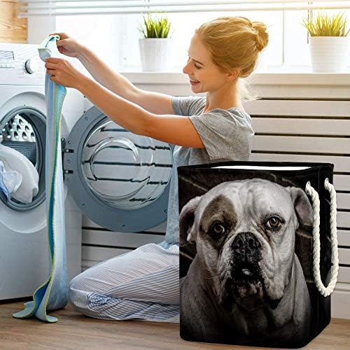 Unicey Cool Boxer Dog Cestas de Lavanderia Impermeável para Lavanderia para Organizador de Casa Cesto de Baby