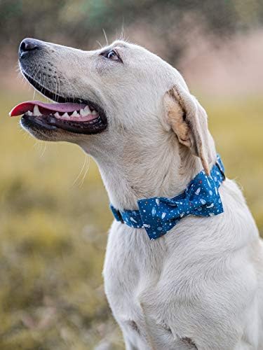 Colarinho de cachorro de cauda elegante com arco, algodão e correia, colarinho de cachorro Bowtie, colares de cachorro ajustáveis